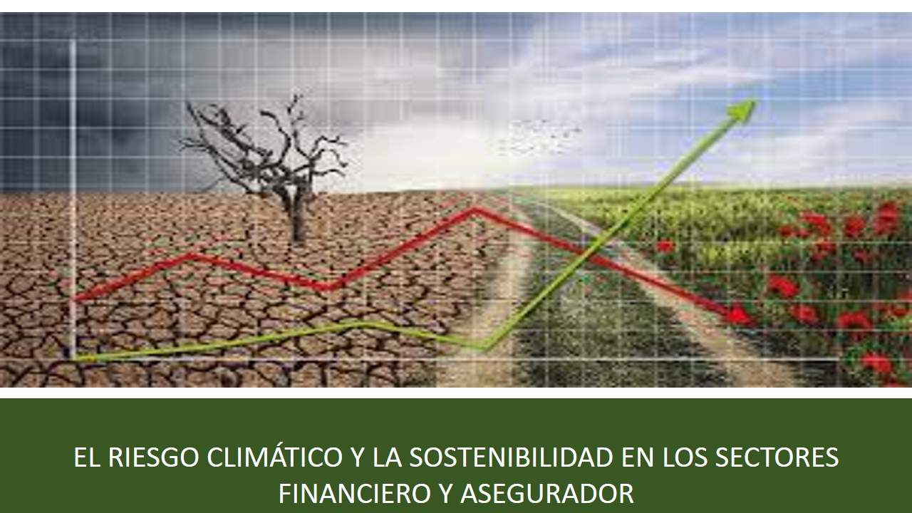 Curso de EL RIESGO CLIMÁTICO Y LA SOSTENIBILIDAD EN LOS SECTORES FINANCIERO Y ASEGURADOR