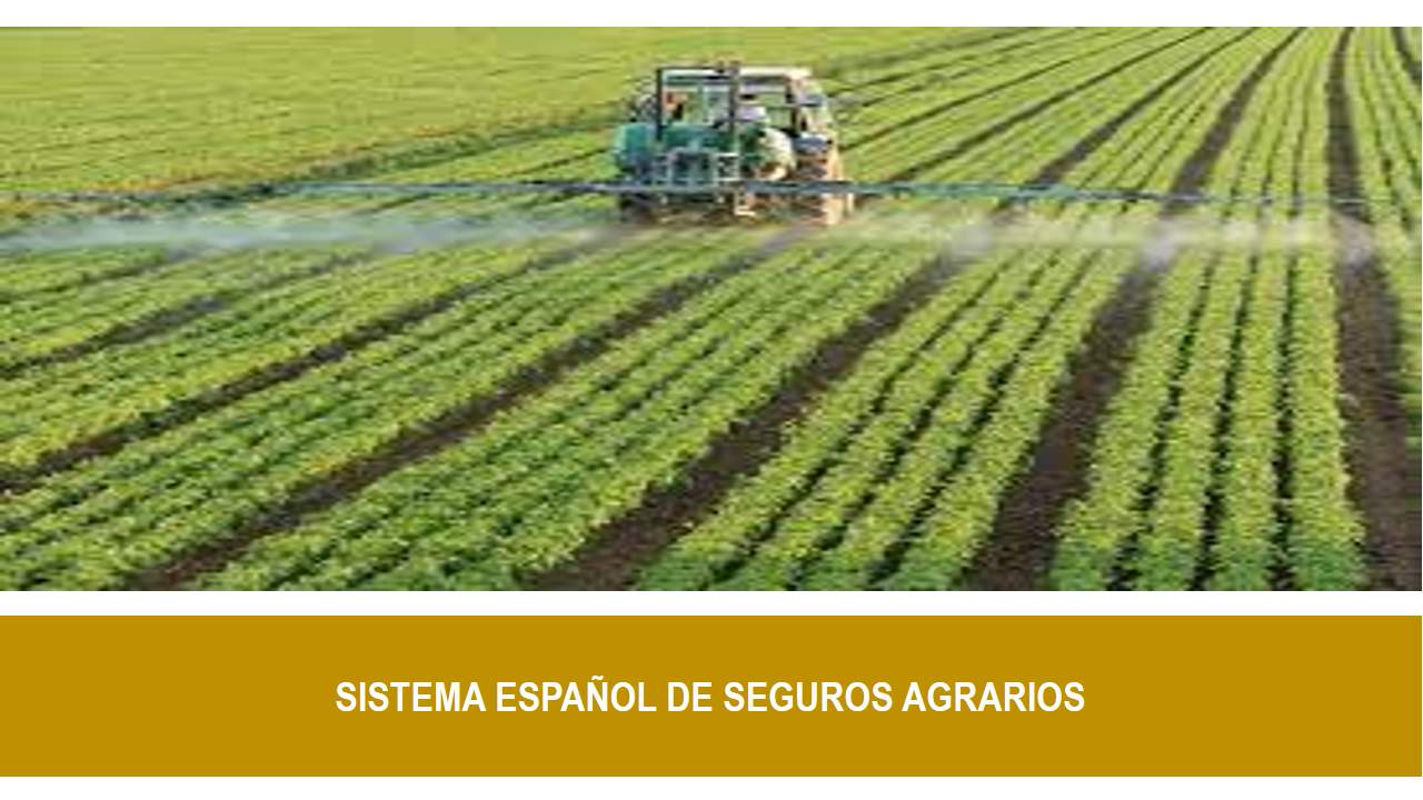Curso de SISTEMA ESPAÑOL DE SEGUROS AGRARIOS 