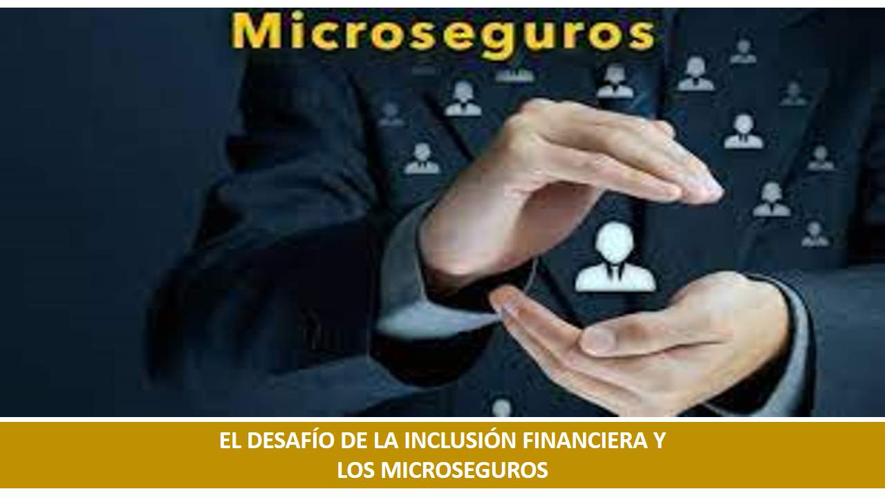 Curso de EL DESAFÍO DE LA INCLUSIÓN FINANCIERA Y LOS MICROSEGUROS