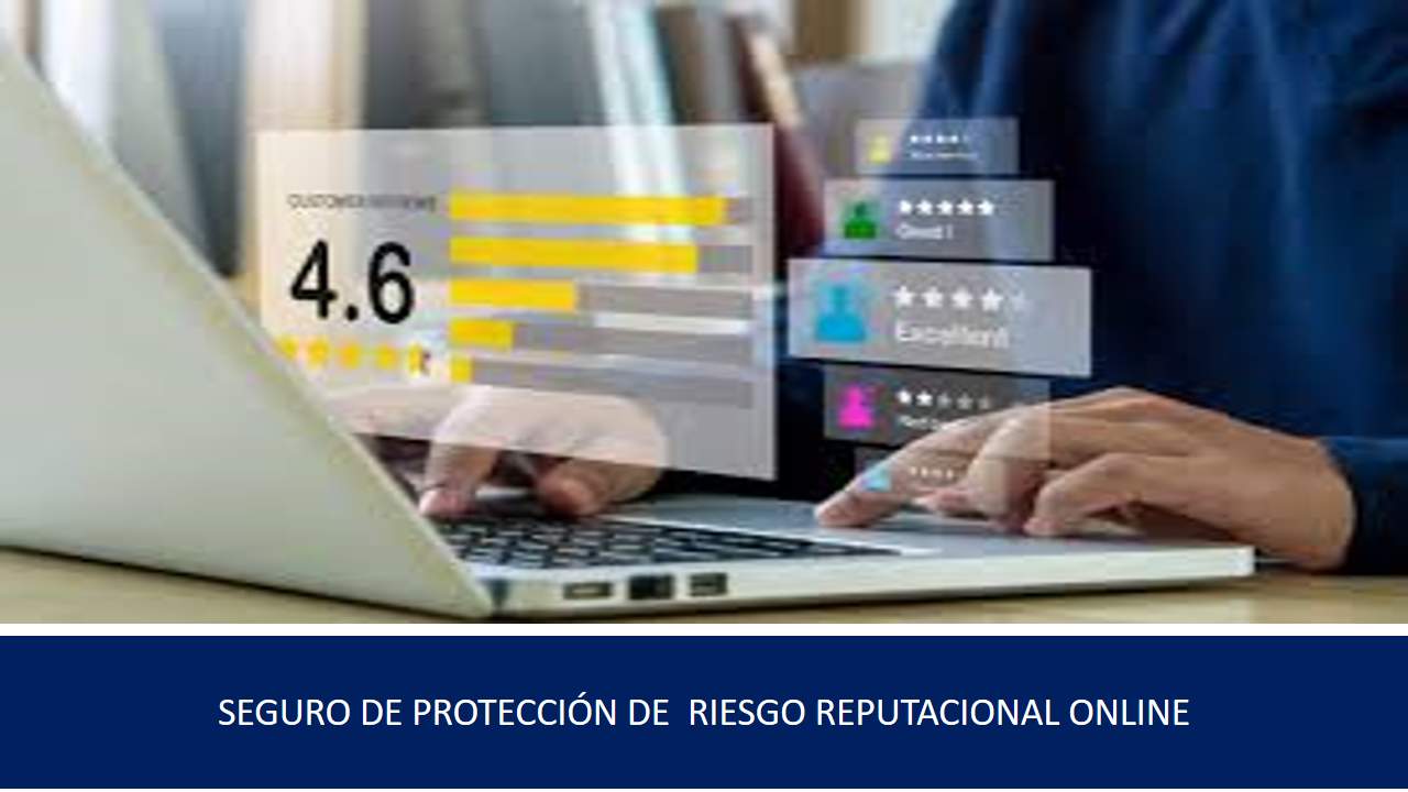 Curso de LOS RIESGOS DE LA REPUTACIÓN ONLINE Y LA COBERTURA ASEGURADORA