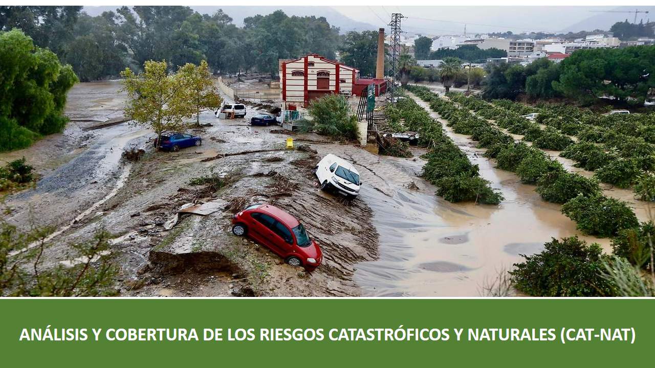 Curso de ANÁLISIS Y COBERTURA DE LOS RIESGOS CATASTRÓFICOS Y NATURALES (CAT-NAT)