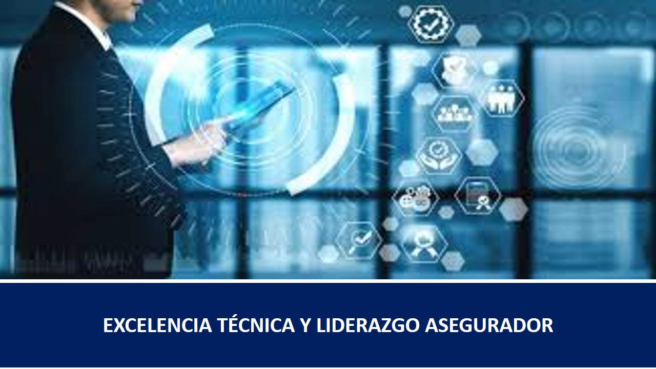 Formación en Seguros de EXCELENCIA TÉCNICA Y LIDERAZGO ASEGURADOR Curso de EXCELENCIA TÉCNICA Y LIDERAZGO ASEGURADOR